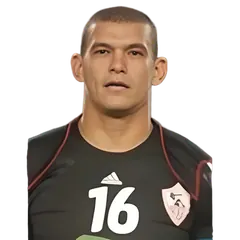 عبد الواحد السيد
