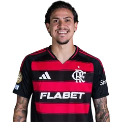 Pedro Guilherme Abreu dos Santos