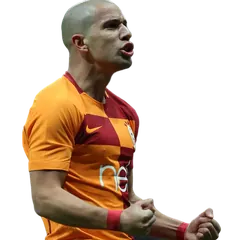 Sofiane Feghouli