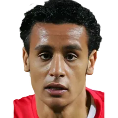 طارق السيد